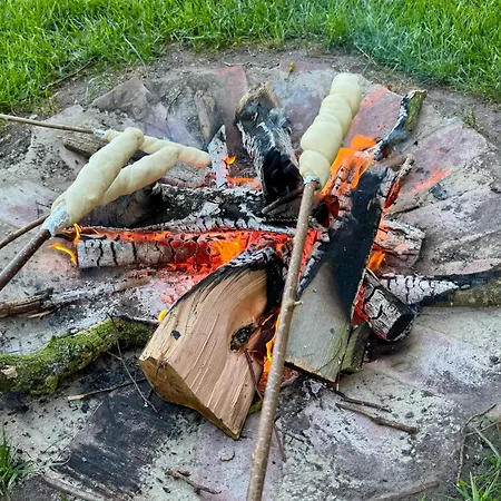 Lampe 캠프장 Altenberge (Emsland)