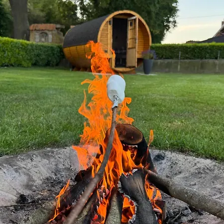 Lampe Altenberge (Emsland)